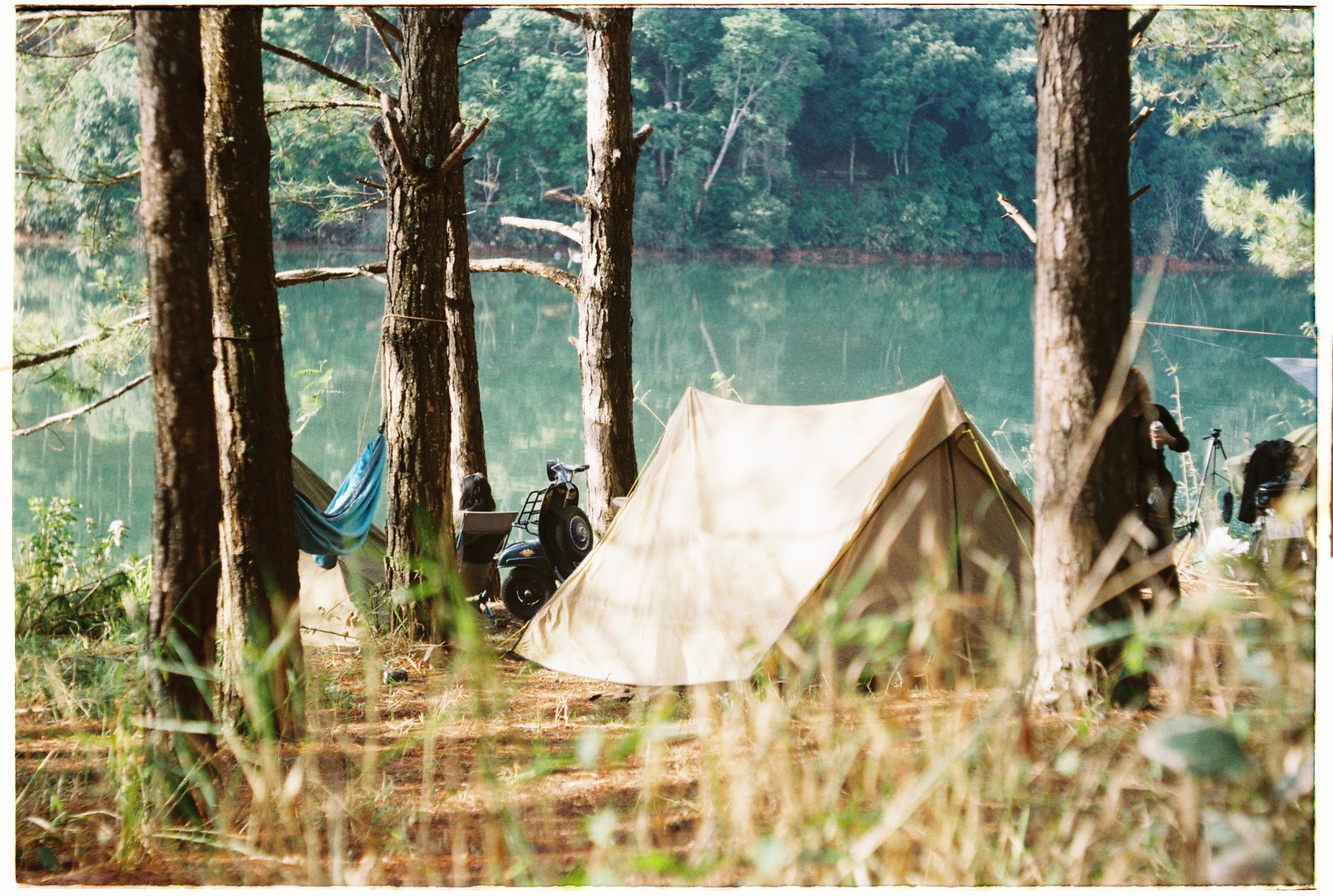 Tranquil camping scene with a tent and hammock in a forest near a lake.