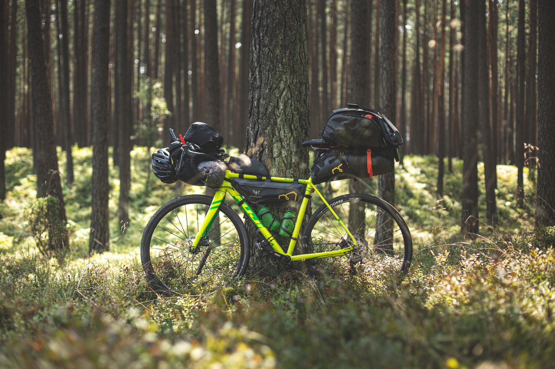 A vibrant bicycle with camping gear rests in a serene Polish forest, capturing adventure and nature.