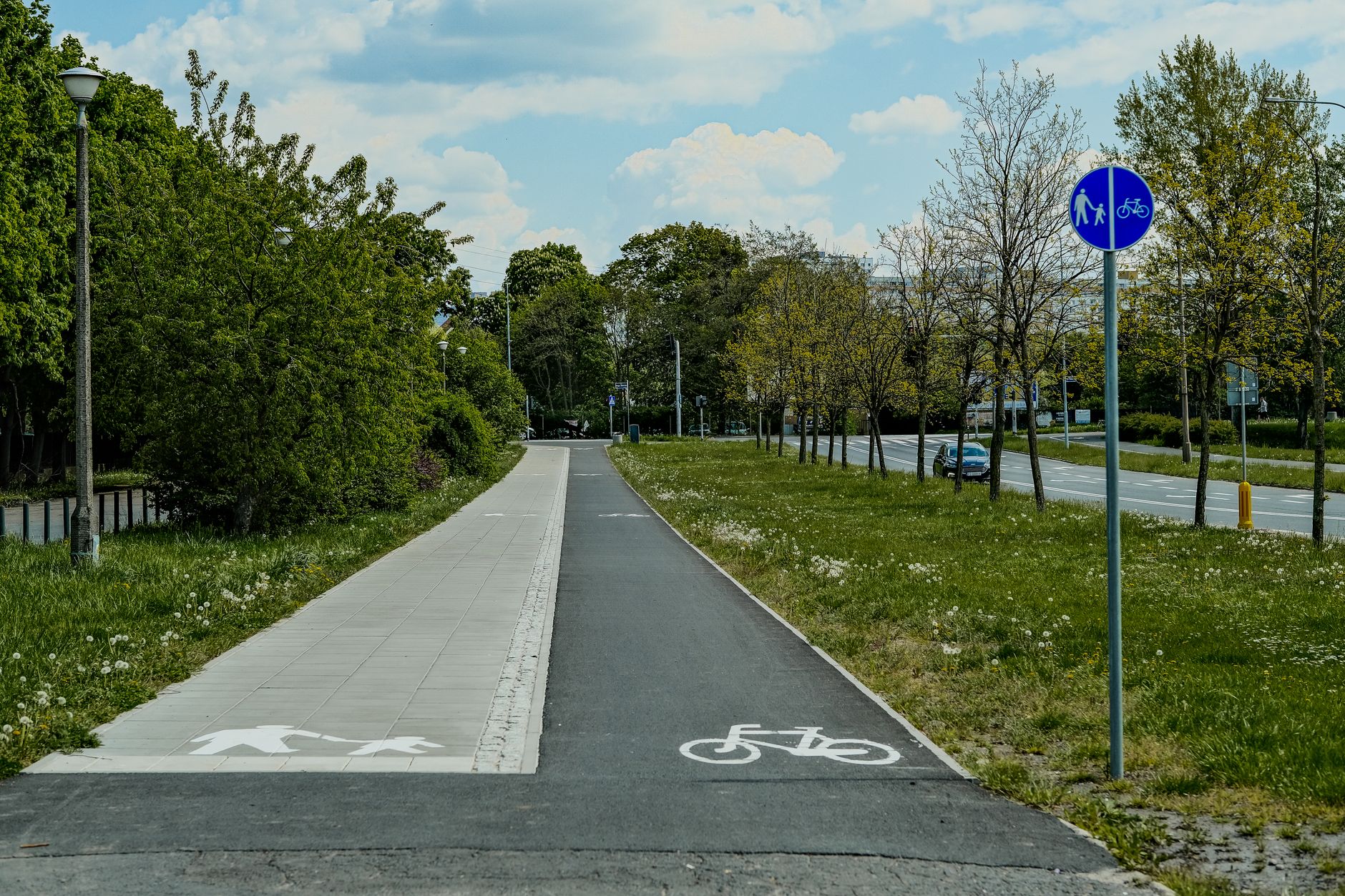 Explore a serene bicycle lane surrounded by lush greenery on a sunny day.
