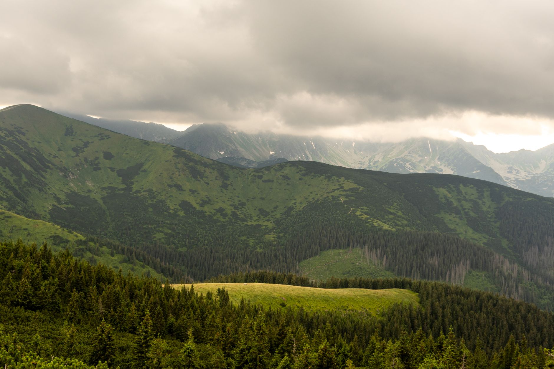 Scenic view of the foggy Tatra Mountains in Poland with lush greenery and cloudy skies.