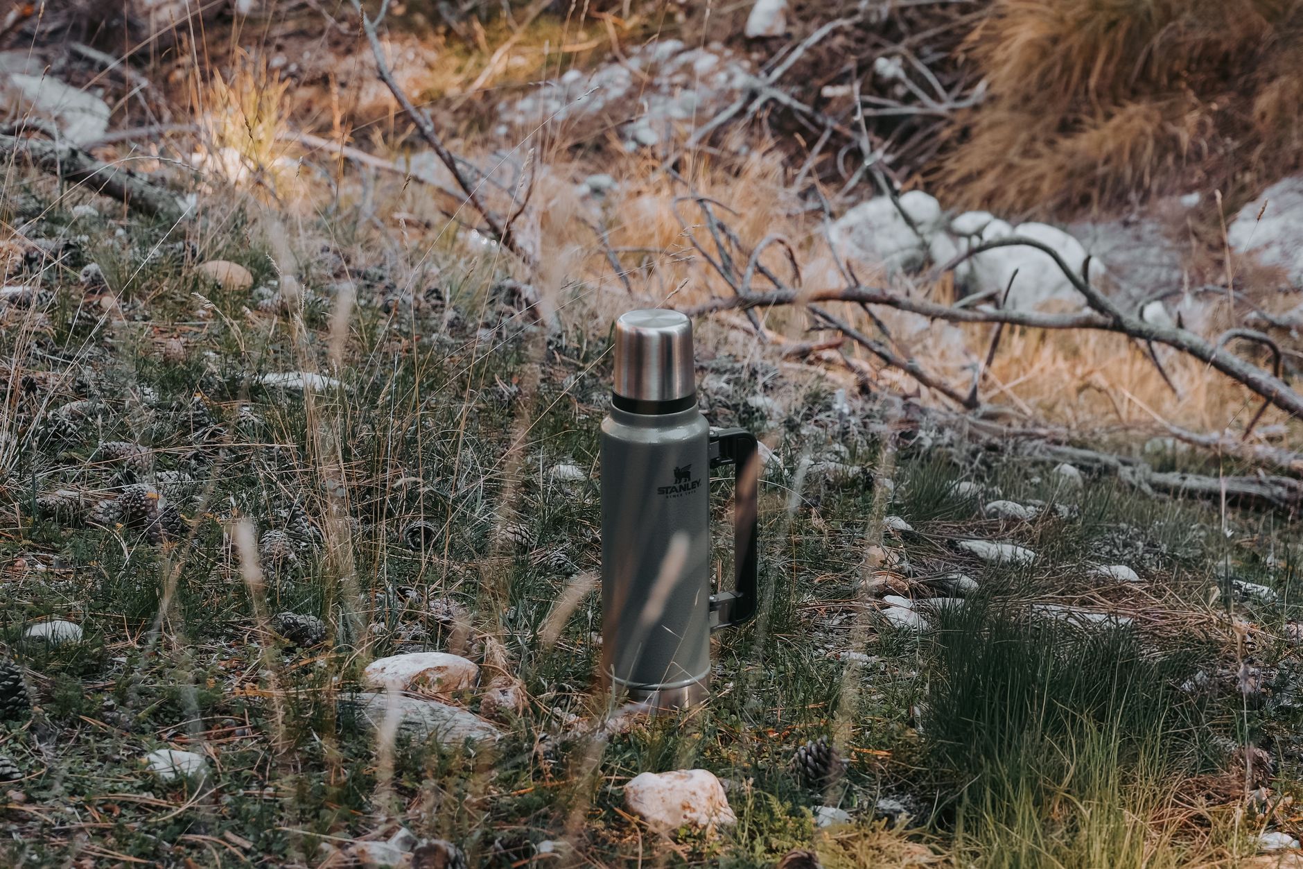 A stainless steel thermos amidst forest grass and rocks, ideal for outdoor adventures.
