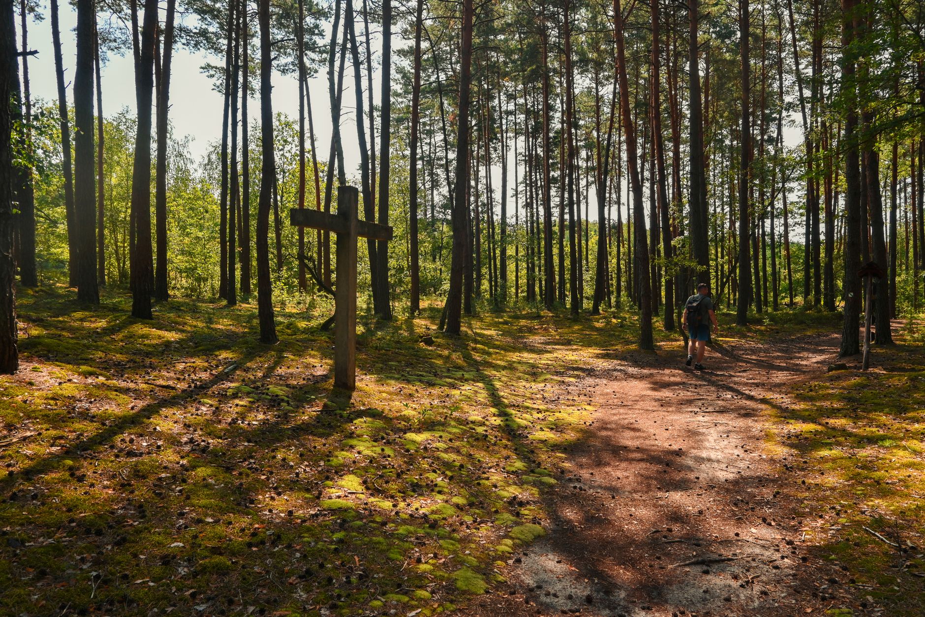 A hiker walks through a serene forest in Poland, approaching a wooden cross under dappled sunlight.