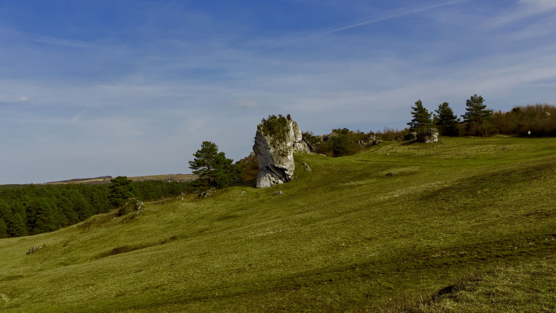 Explore the natural beauty of a limestone hill in the picturesque Polish Jura upland landscape.
