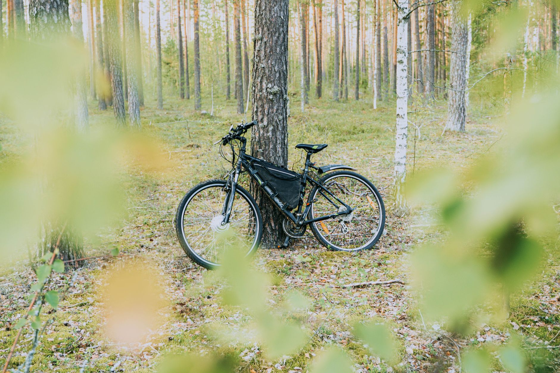 Electric bicycle leaning against a tree in a serene forest setting, showcasing nature's tranquility.