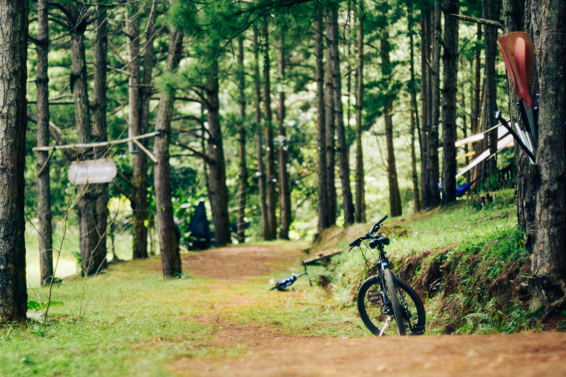 Scenic forest path with a mountain bike and camping gear for outdoor adventure.