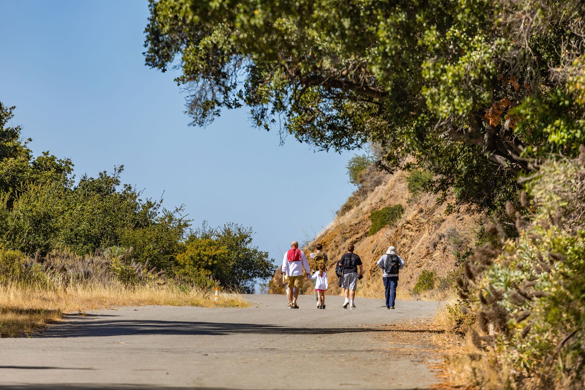 A family enjoying a leisurely hike on a scenic mountain trail under a bright blue sky.