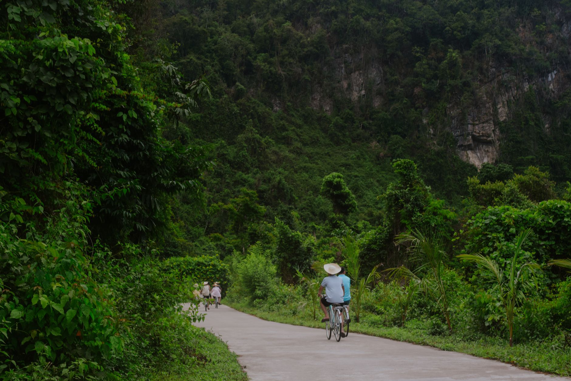 Rider with sun hat cycles on a lush green path surrounded by forest and mountains in summer.