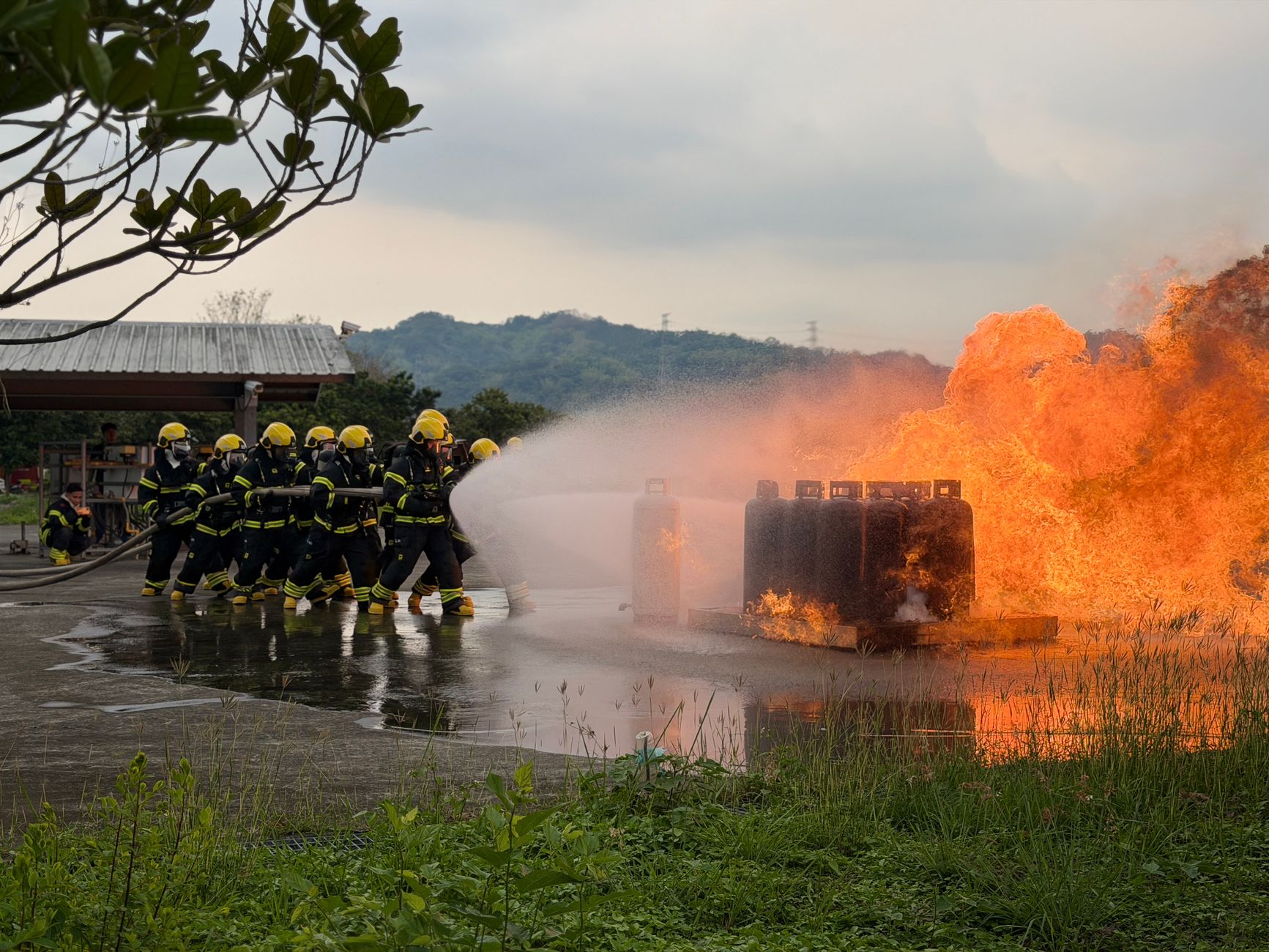 Team of firefighters using hoses to extinguish a controlled outdoor blaze during training.