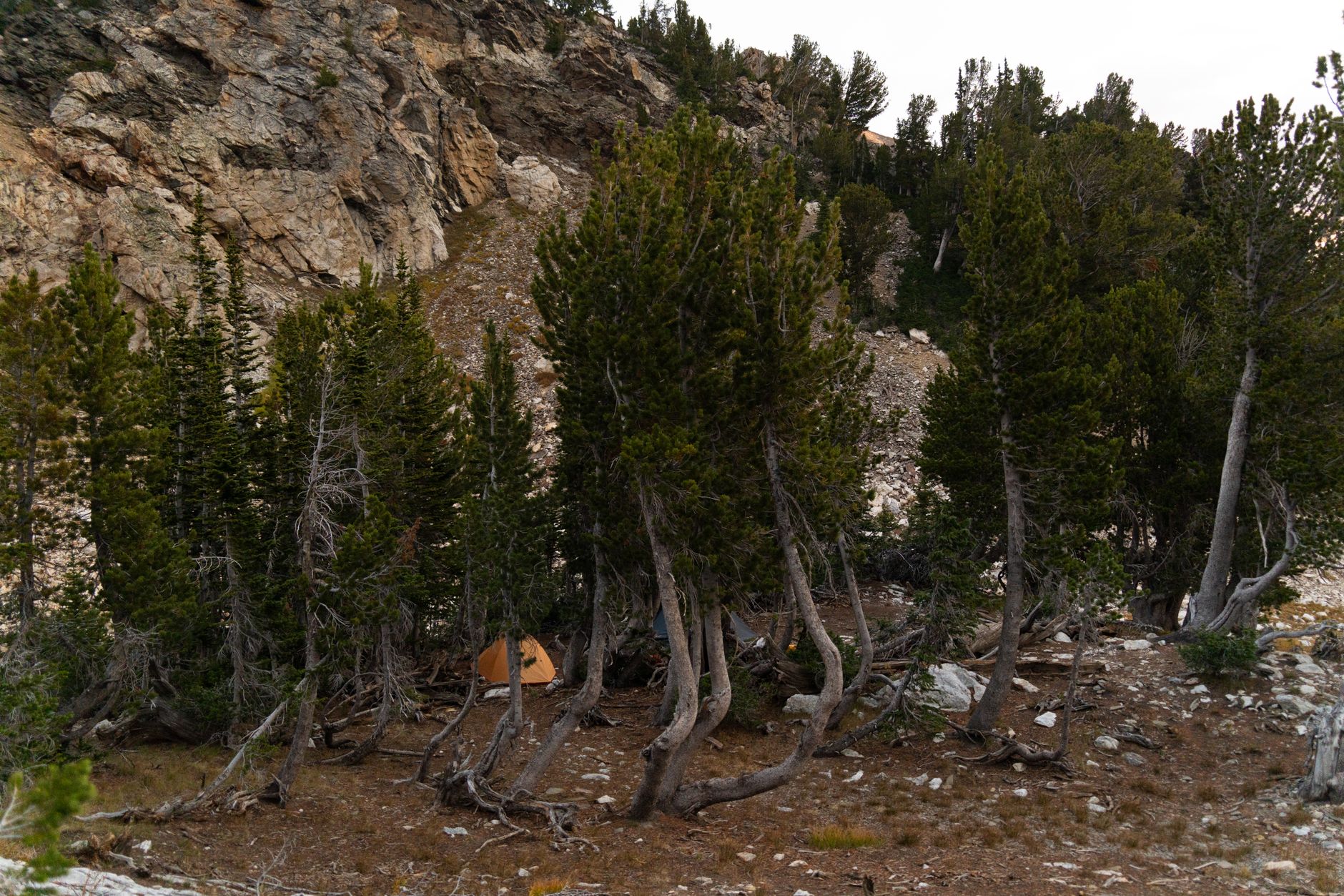 Discover solitude with a hidden campsite in Grand Teton's rugged wilderness.