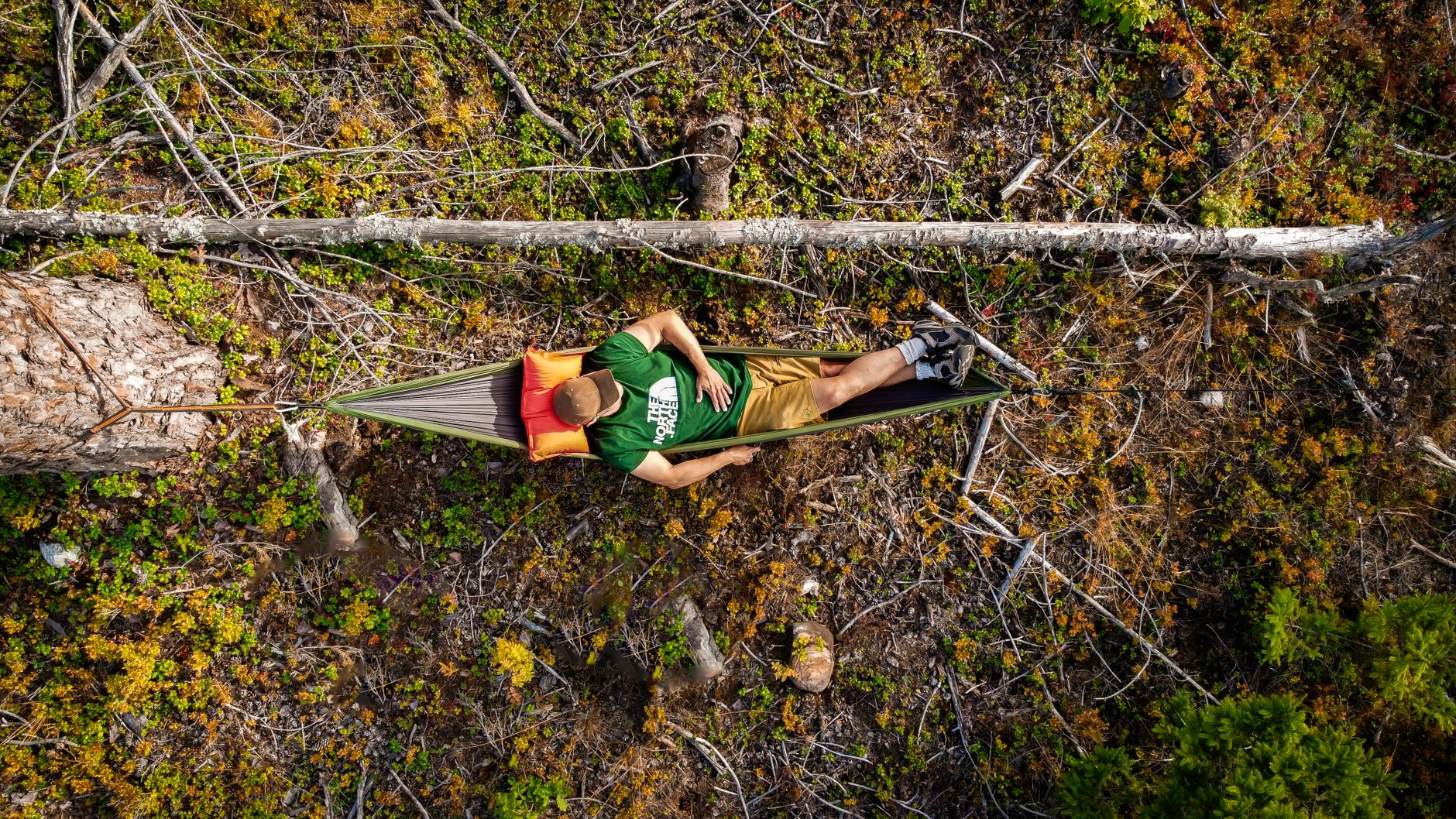 Aerial shot of a man resting in a hammock amid a lush forest, capturing the essence of outdoor relaxation.