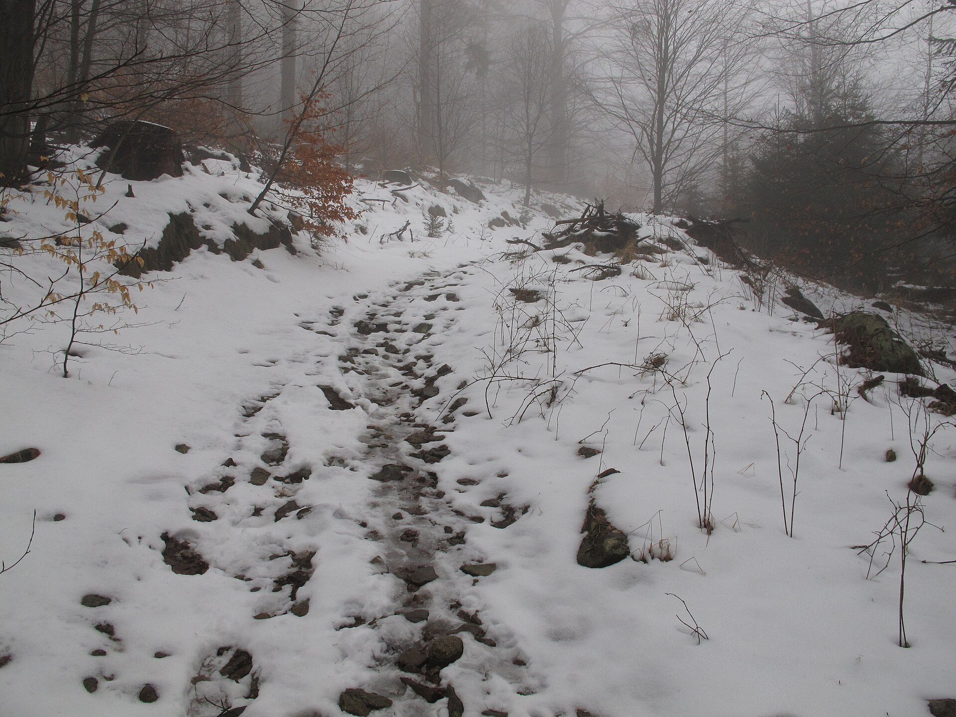 Owl Mountains - hiking trail from Walim to the Mała Sowa