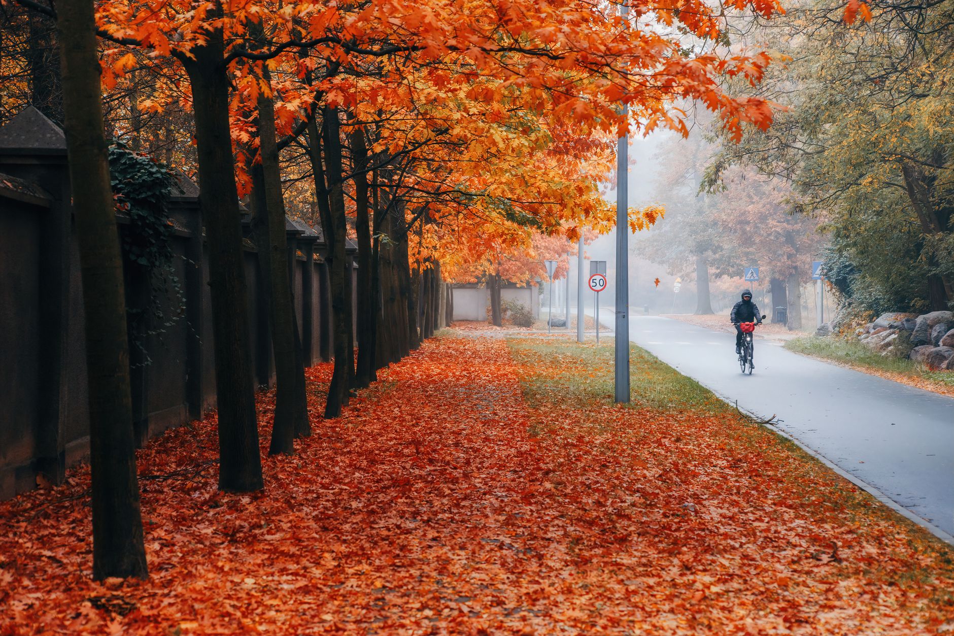 A serene autumn scene of a cyclist on a leaf-covered path in Konin, Poland.