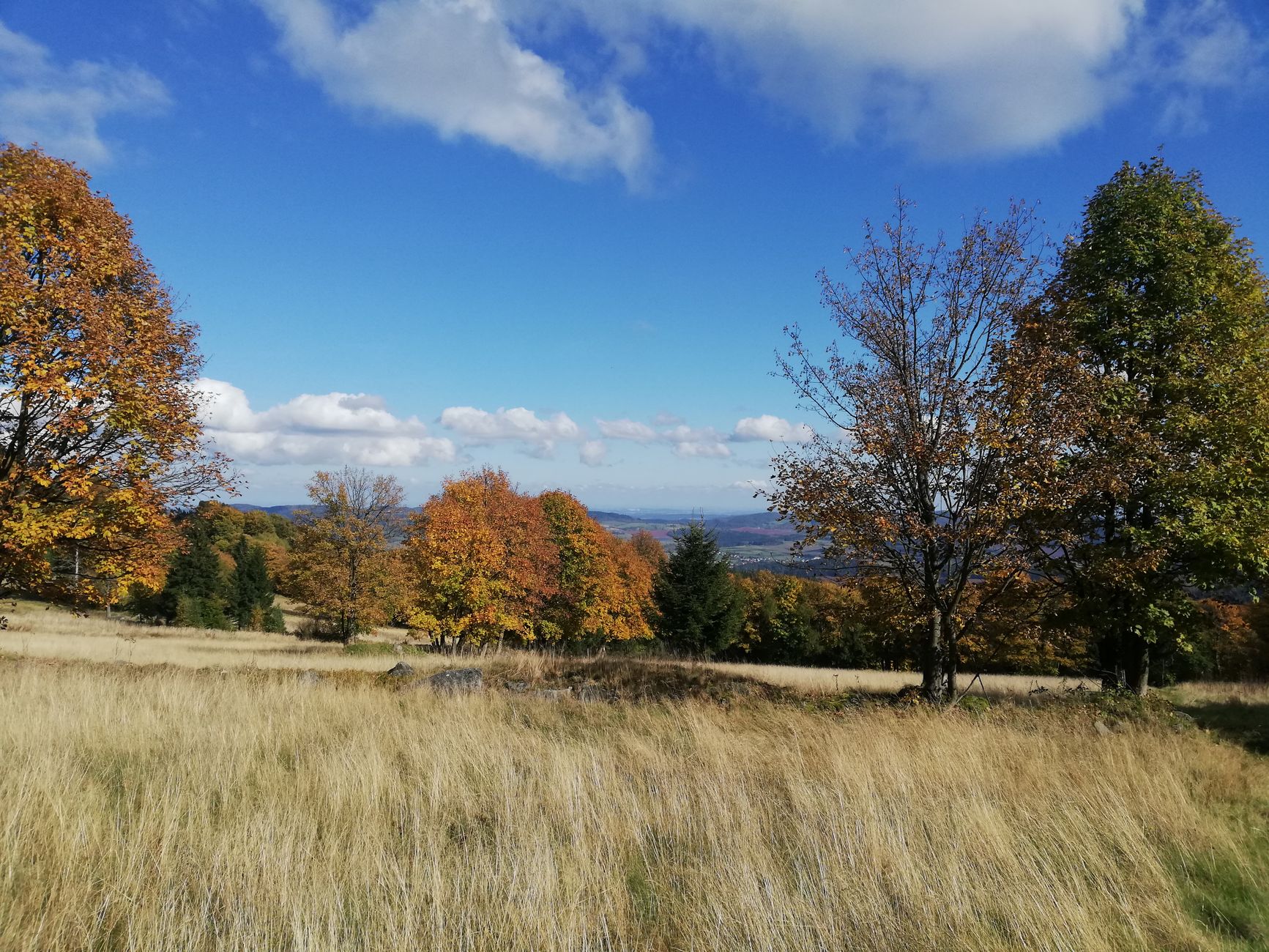Beautiful autumn view of Rudawy Janowickie with colorful foliage under a bright blue sky in Poland.