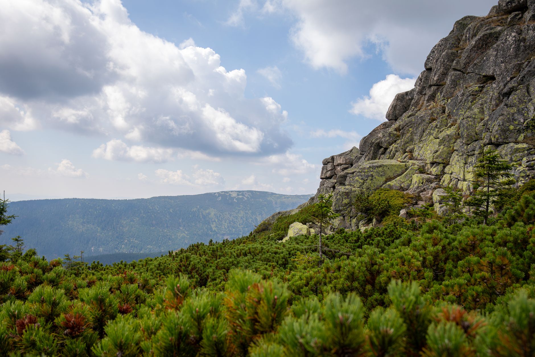 Breathtaking view of lush greenery and rocky formations in Szklarska Poręba, Poland.