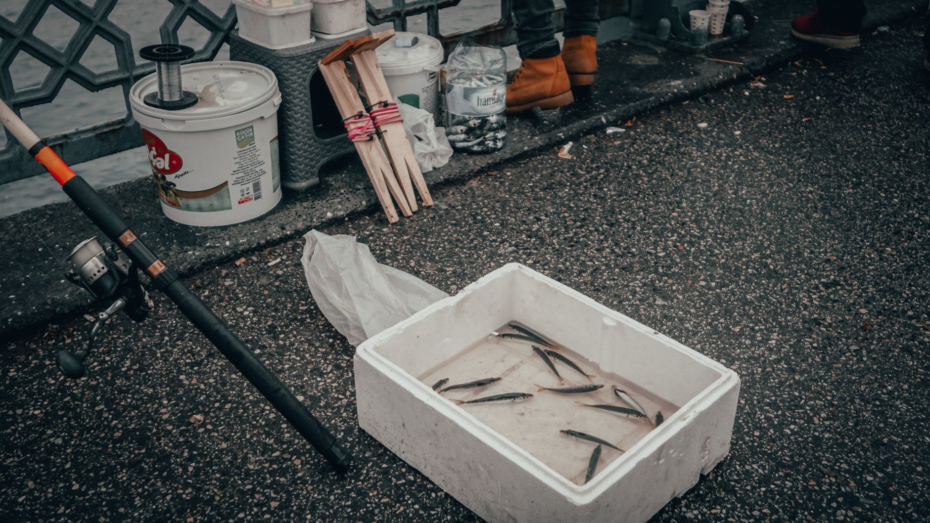 Various fishing equipment near plastic container with fish and fishing rod near faceless person on asphalt walkway near railing on embankmen