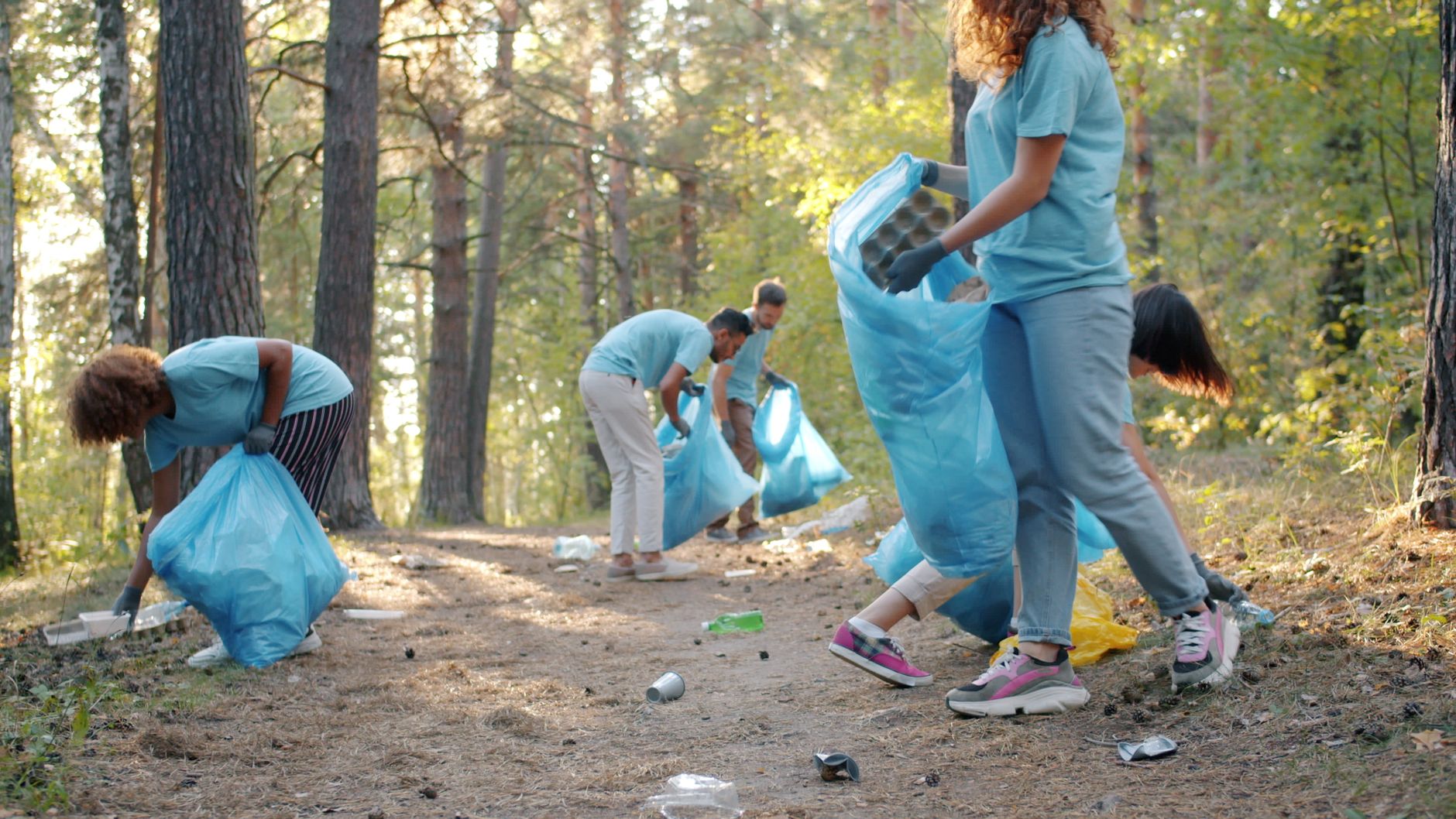 Volunteers gather in a forest to clean up litter and promote environmental health.