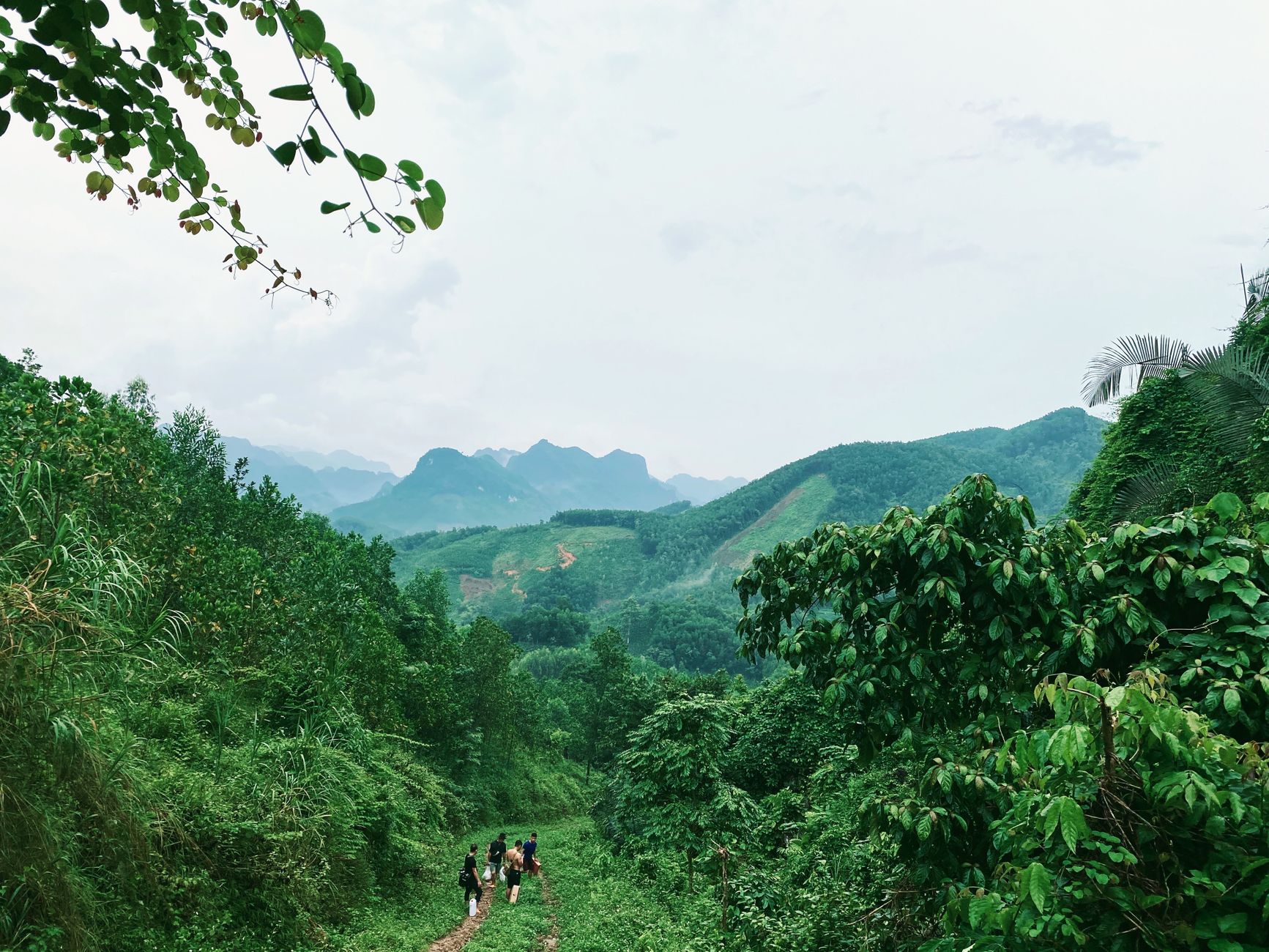 A group hiking in a vibrant green mountain landscape with a stunning view.