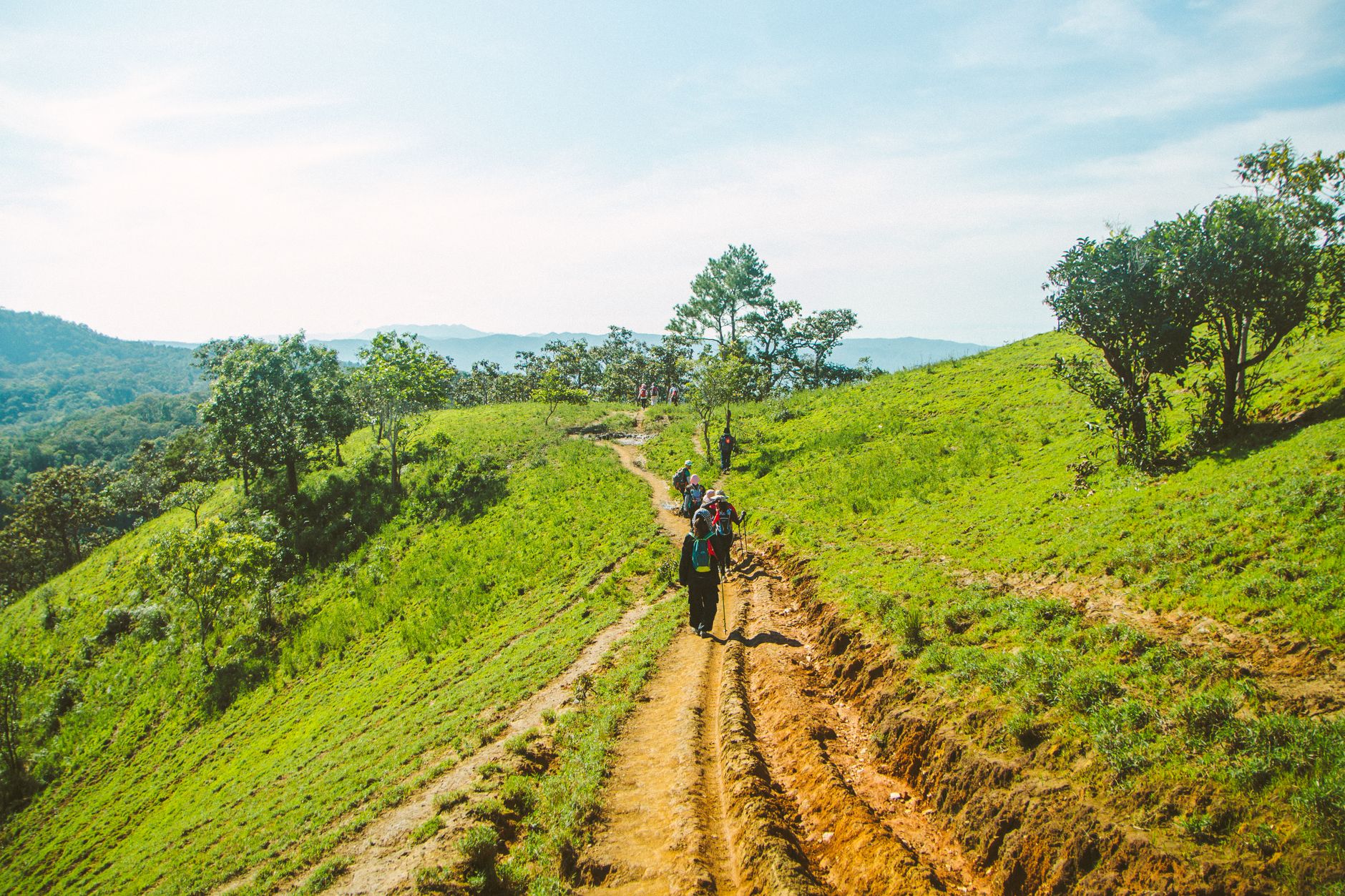 Hikers on a lush green trail in Lâm Đồng, Vietnam under a bright blue sky.